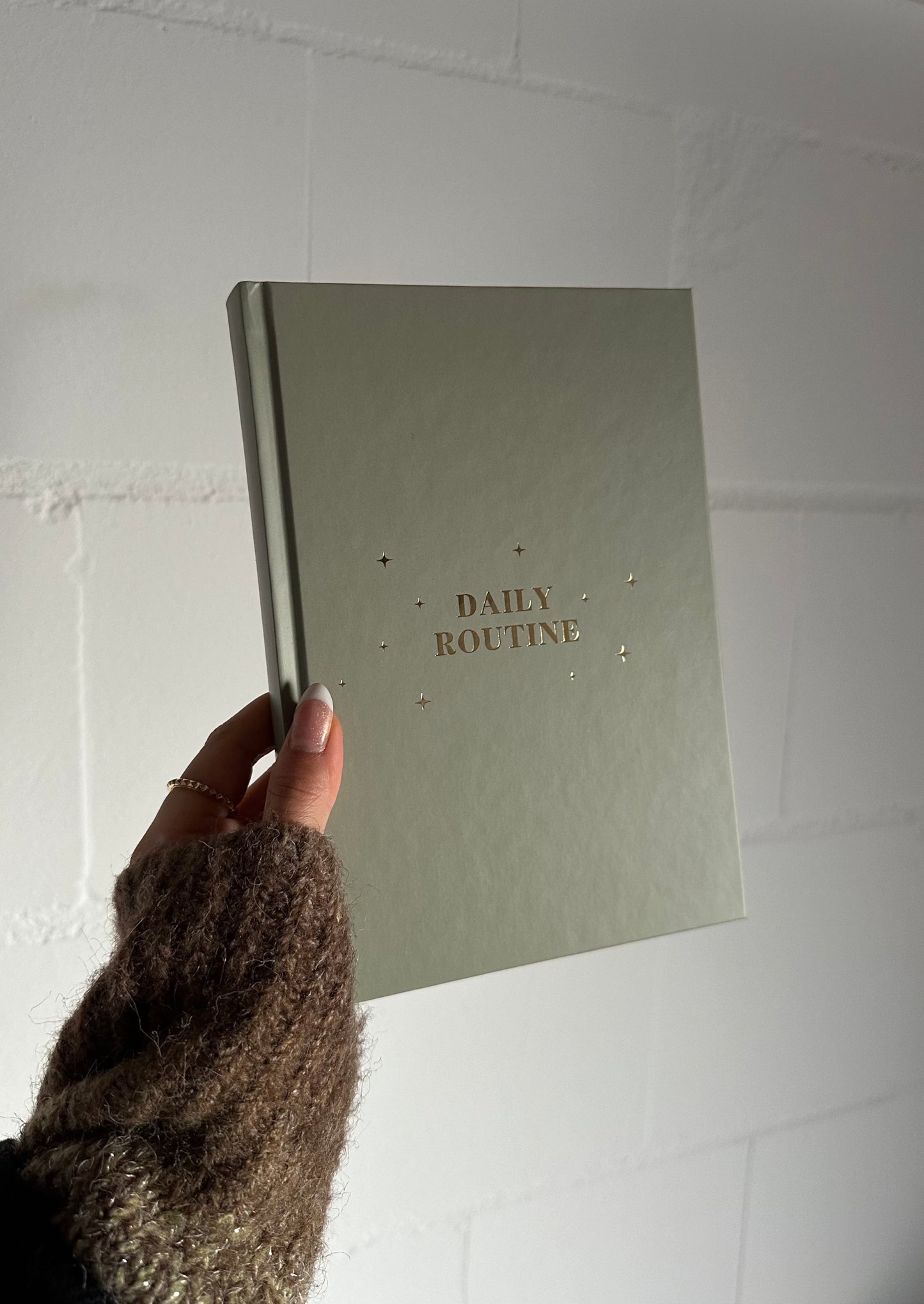 Daily Planner, gebundene Ausgabe (DIN A5)